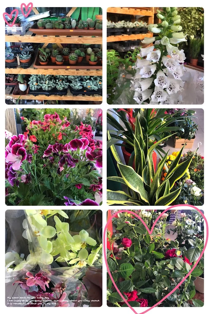 Foto 4 de Bazar Bohui