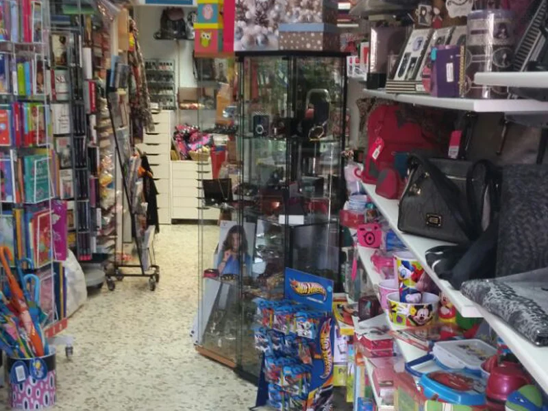 Luzvi Tienda (Libreria y Papeleria)