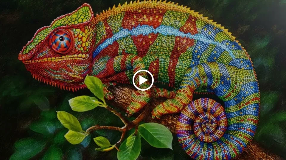 Papeleria Libreria Arte