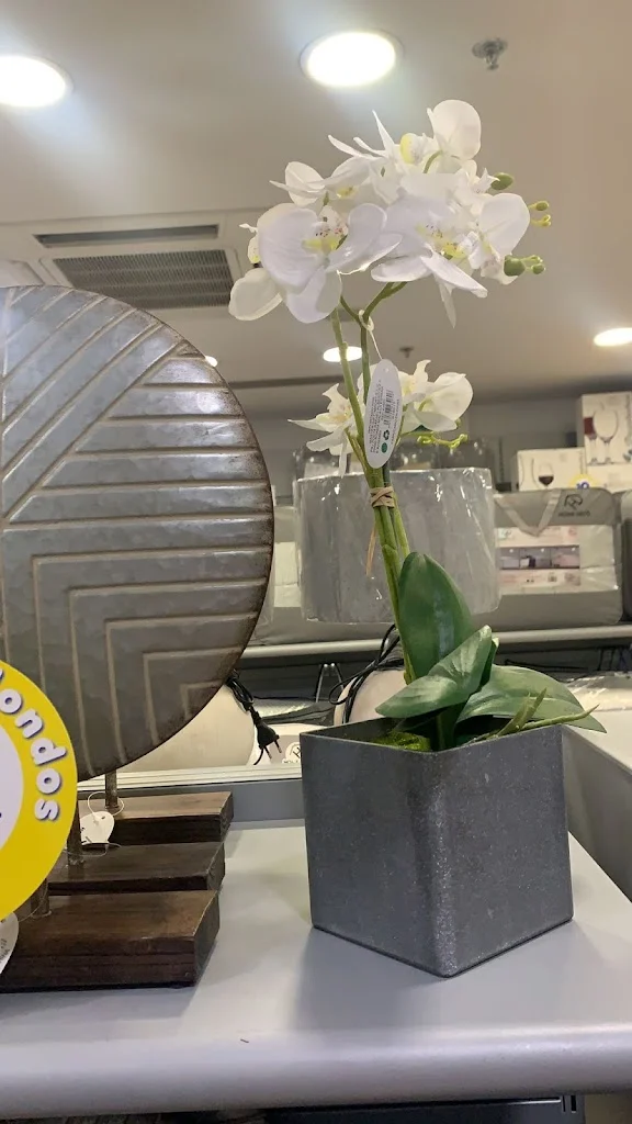Tiendas Mgi Malaga Rosaleda